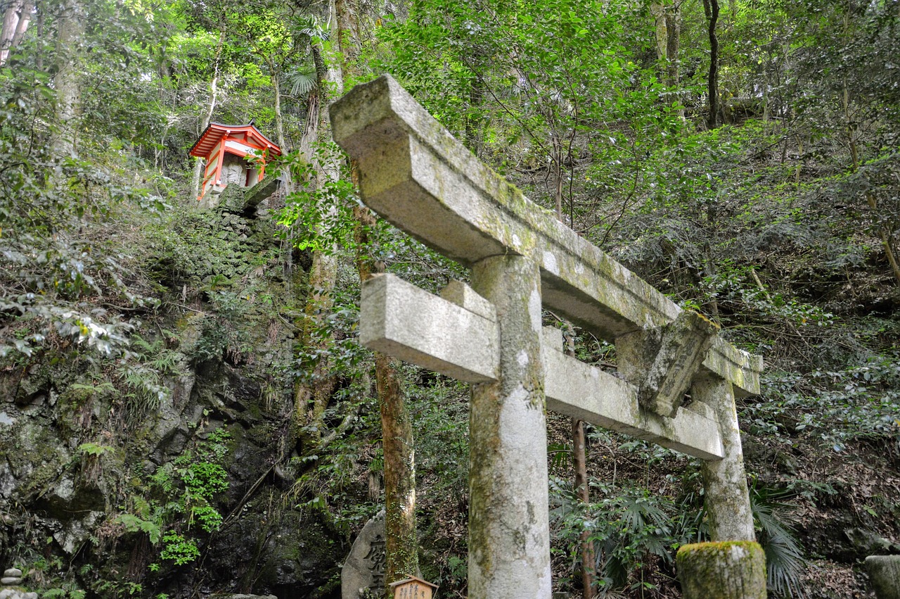 【麦景图/麦景图前级哪款好】 【麦景图/麦景图前级哪款好】