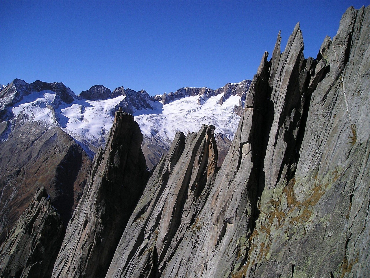 【高山/高山仰止,景行行止什么意思】