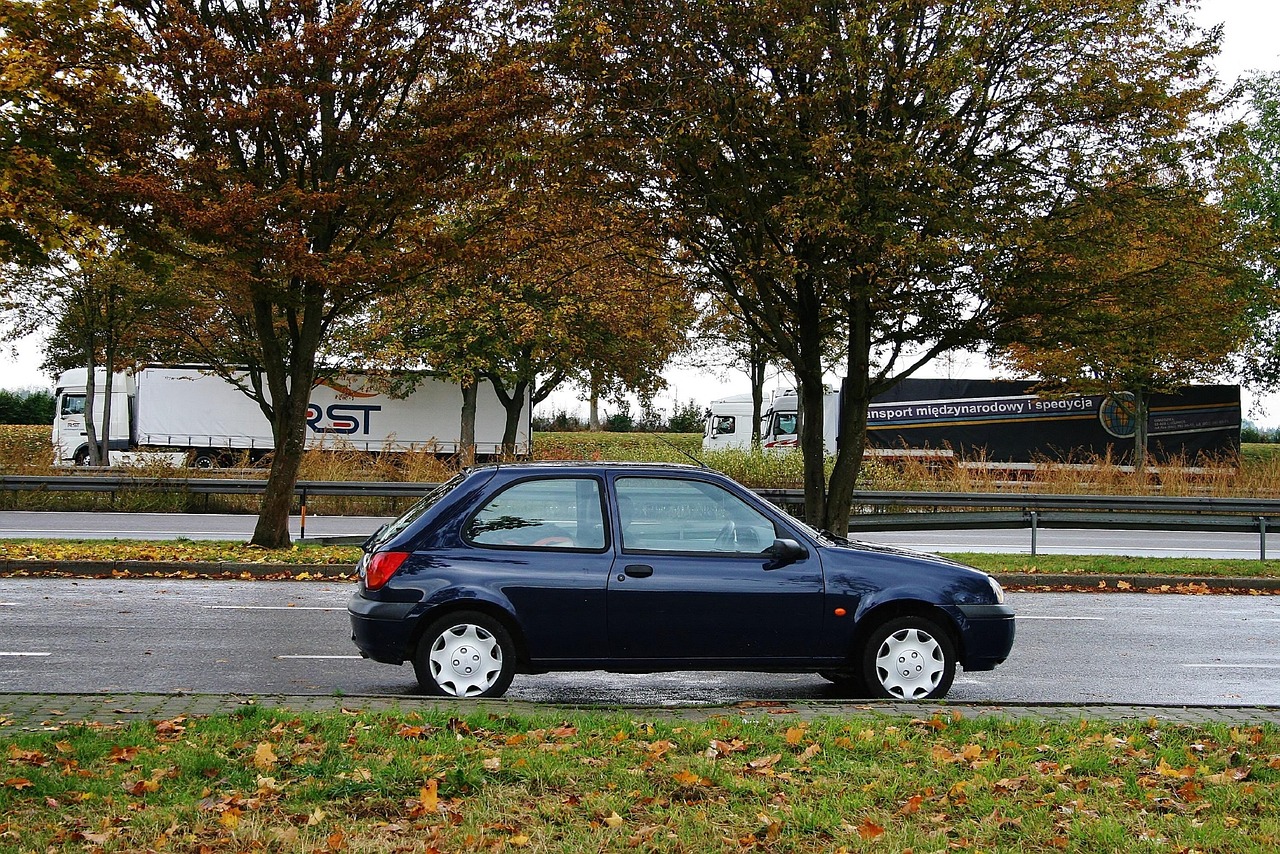 【嘉年华汽车/嘉年华汽车图片】 【嘉年华汽车/嘉年华汽车图片】