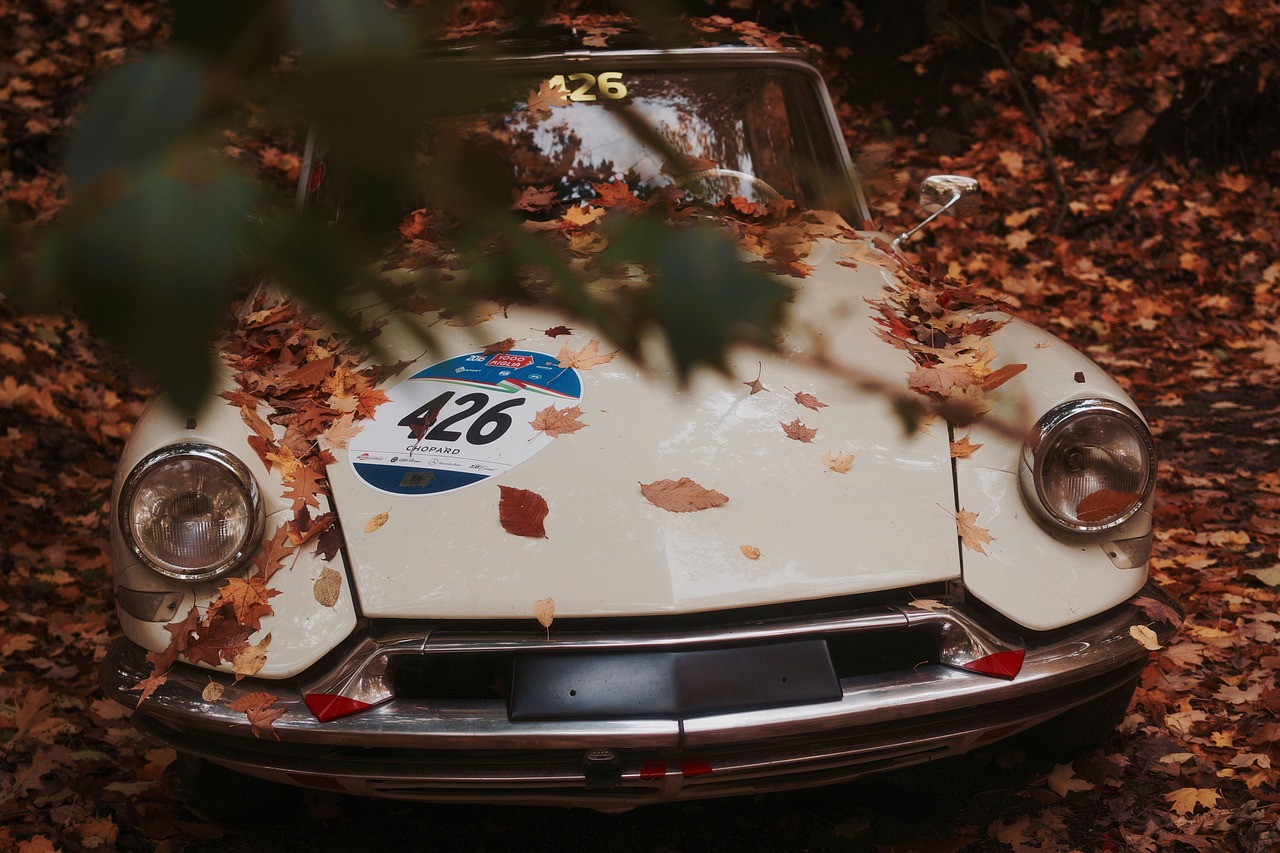 邢台二手车交易市场,邢台二手车交易市场地址